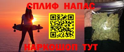 дмт Сланцы
